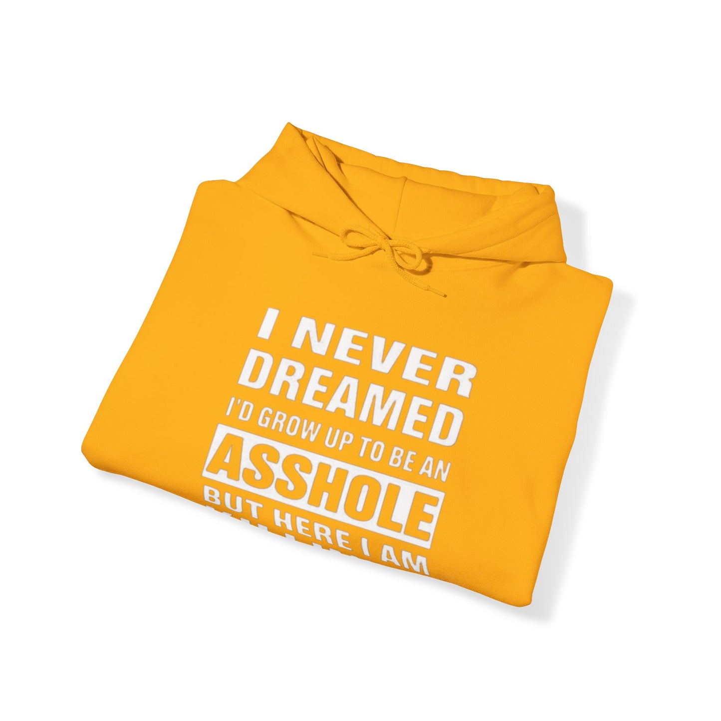 NEVER DREAMED: Unisex Heavy Blend™ Hooded Sweatshirt