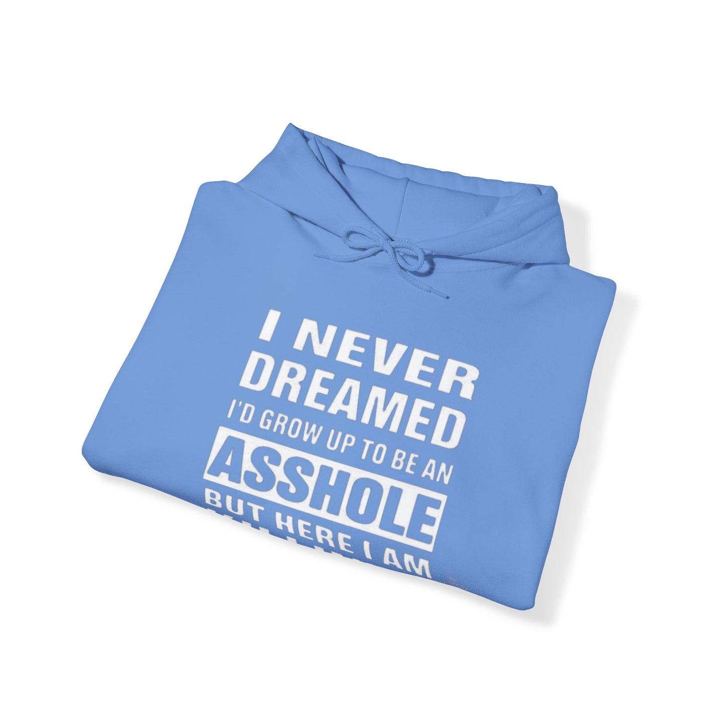 NEVER DREAMED: Unisex Heavy Blend™ Hooded Sweatshirt