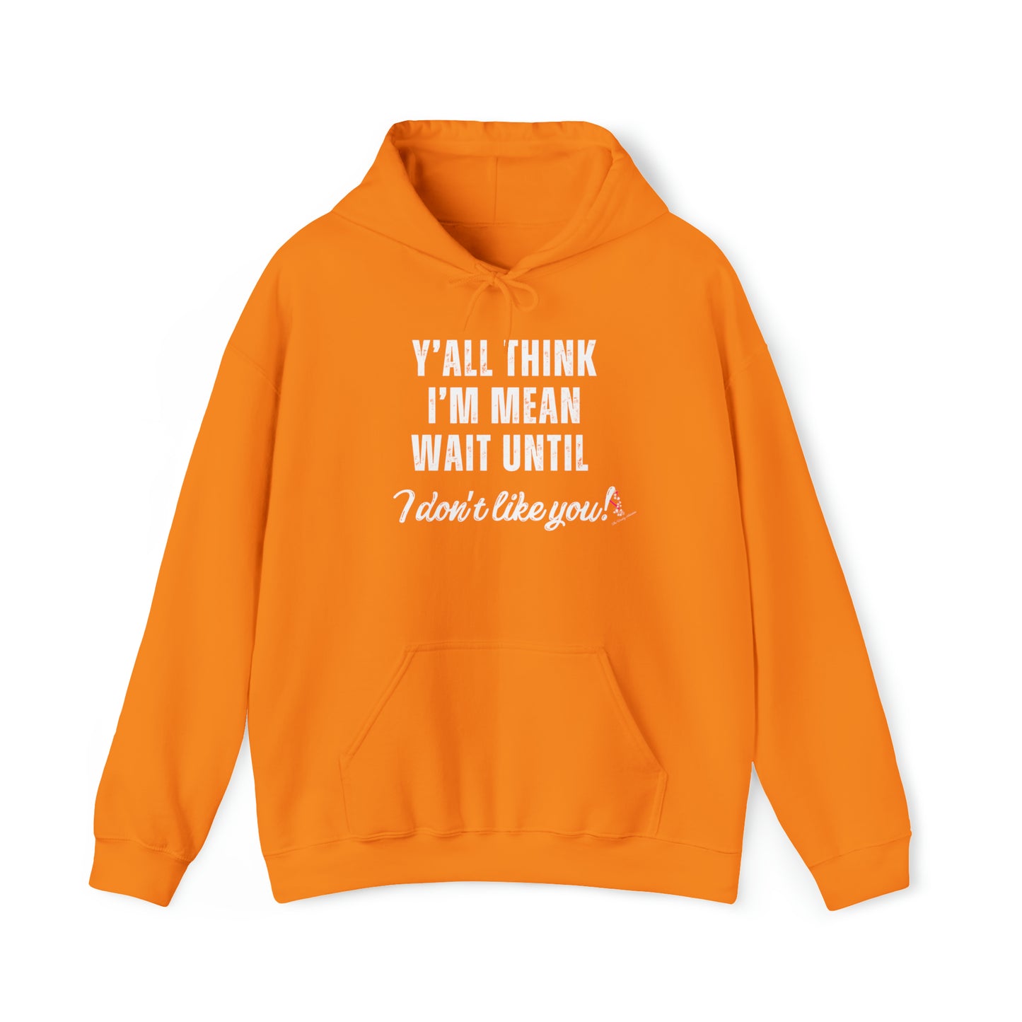 Y'ALL THINK I'M MEAN: Unisex Heavy Blend™ Hooded Sweatshirt