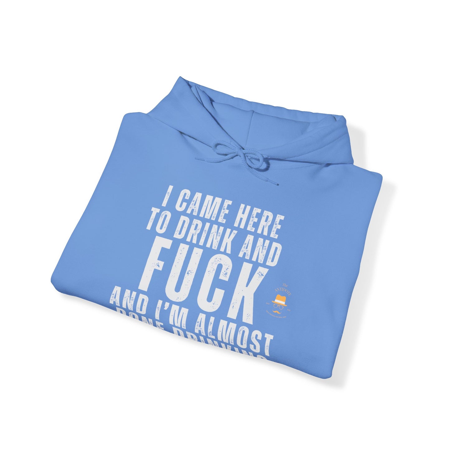 I CAME TO DRINK: Unisex Heavy Blend™ Hooded Sweatshirt