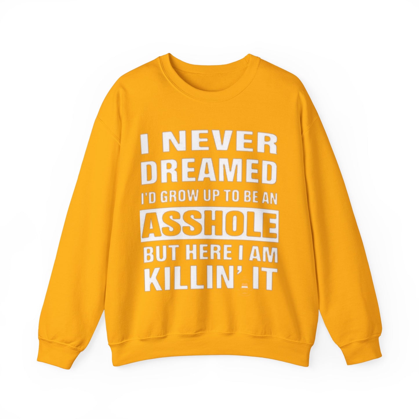 NEVER DREAMED: Unisex Heavy Blend™ Crewneck Sweatshirt